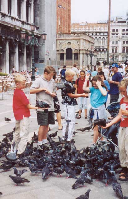 Feeding pigeons in Piazza San Marco